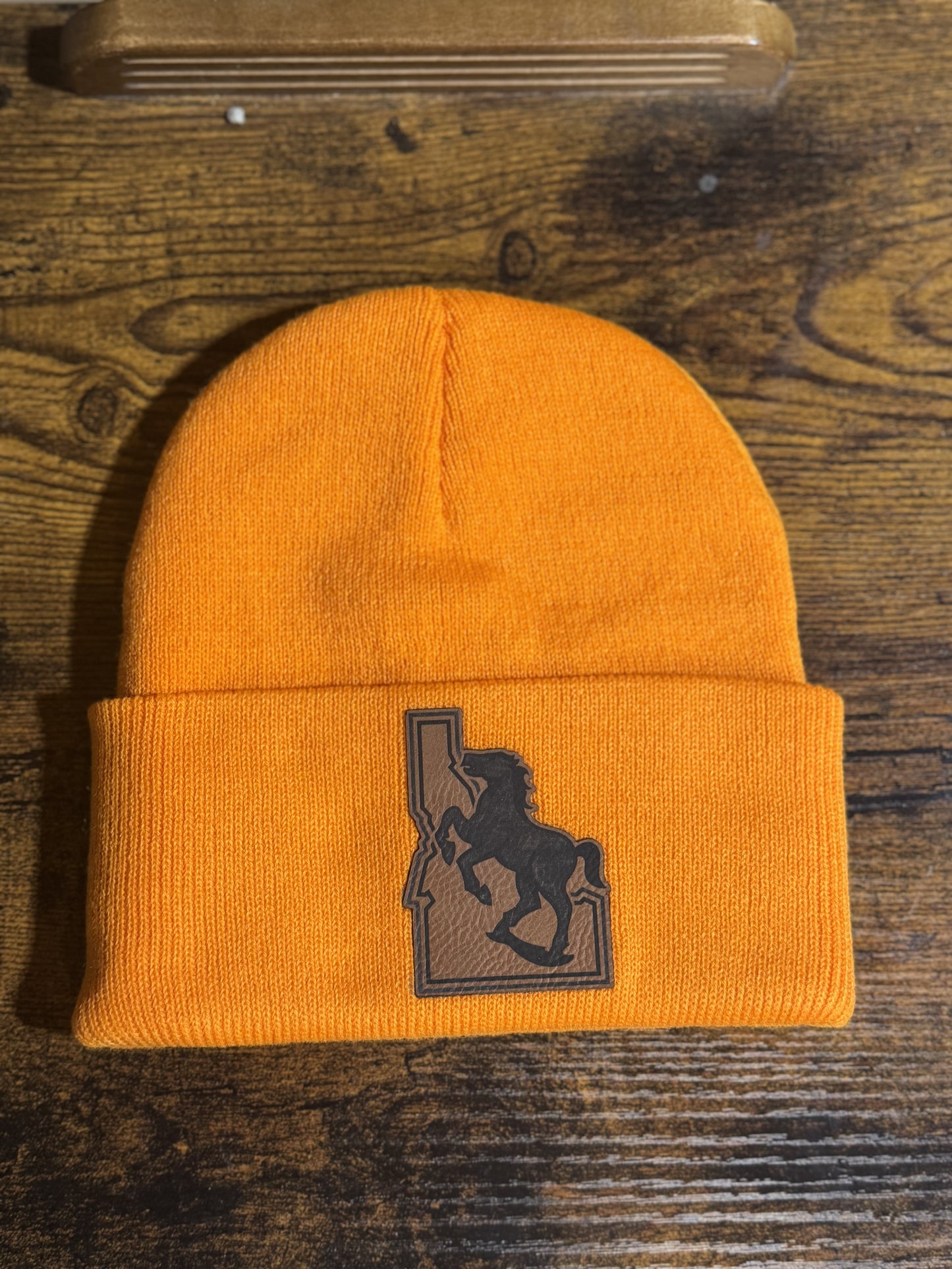 Boise State Support Beanie