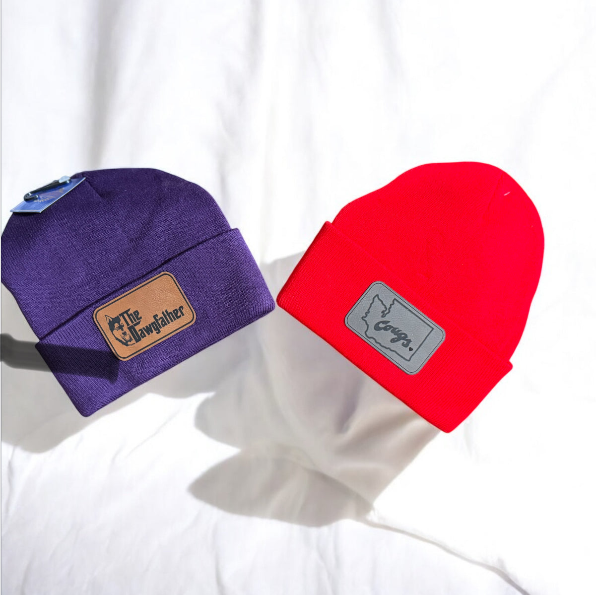 UW / WSU House Divided Package