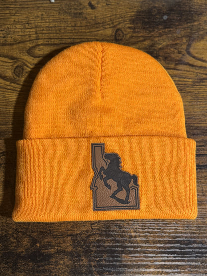 Boise State Support Beanie