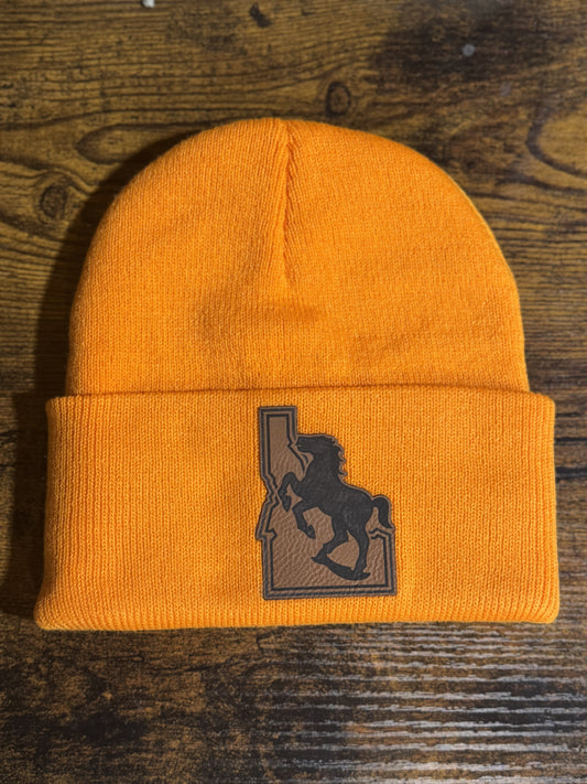 Boise State Support Beanie